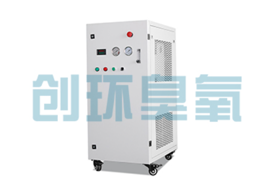 闵行石斑鱼养殖水质调控完整指南:臭氧发生器配置与操作步骤