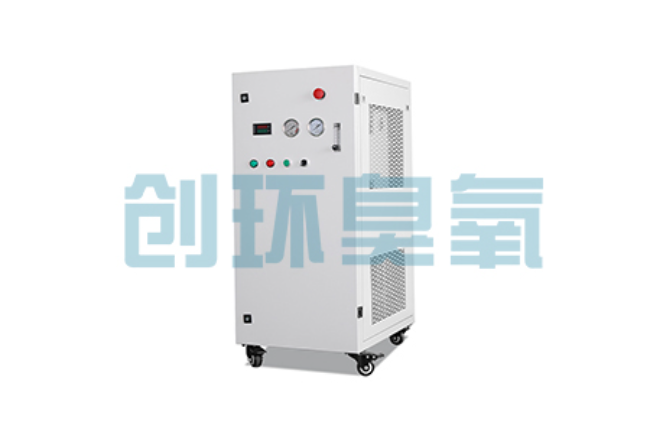 闵行比传统换水更高效?臭氧发生器在石斑鱼养殖中的水质净化原理解析